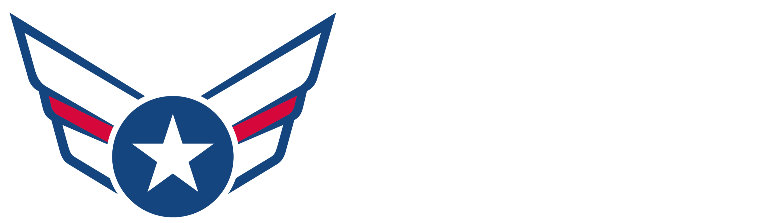 Promotion Wingman Logo